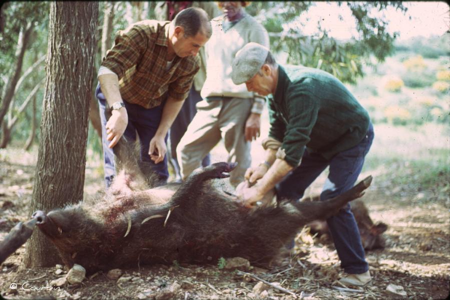 Monsieur Gimenez à l'oeuvre Monsieur Gimenez à l'oeuvre