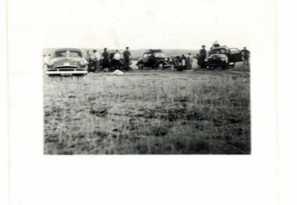 chasse aux calandres chasse aux calandres