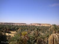 Vue sur l'oasis de Beni Abbes