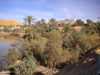 L'oasis de Beni Abbes