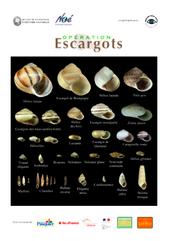 Opration escargots dans les jardins