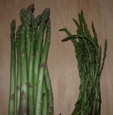 Asperges sauvages et asperges de culture