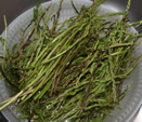 Rinage des asperges sauvages