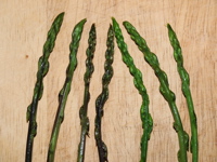 La couleur des asperges sauvages