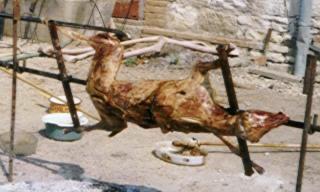 Les pates du méchoui écartées de la broche Les pates de l'agneau écartées de la broche